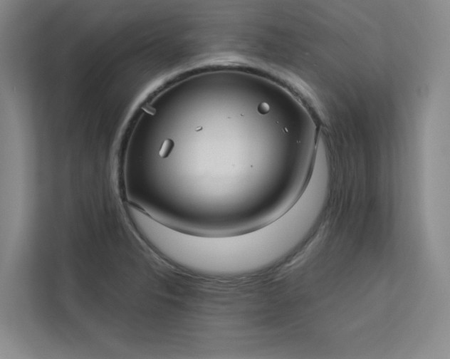 X0000113301326200909281056