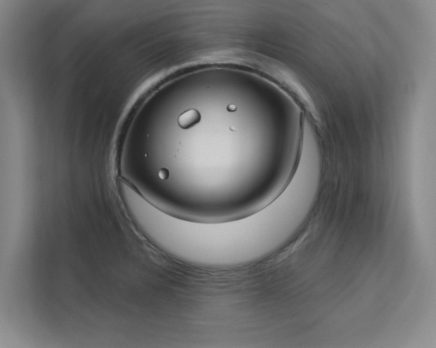 X0000113301328200909281056