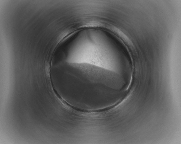 X0000113301329200909281056