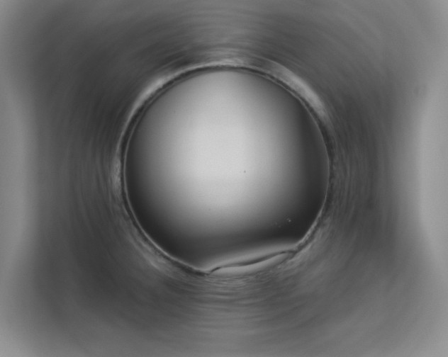 X0000113301332200909281056