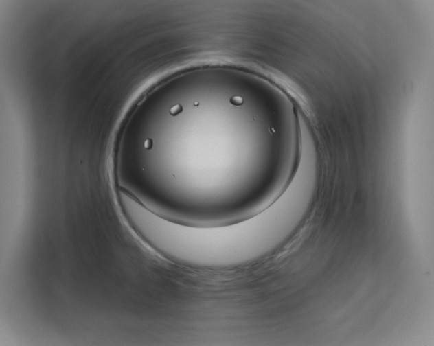 X0000113301334200909281056