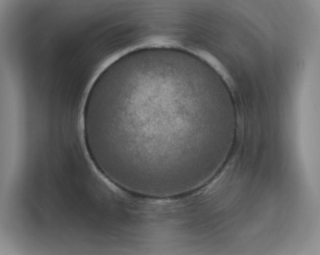 X0000113301335200909281056