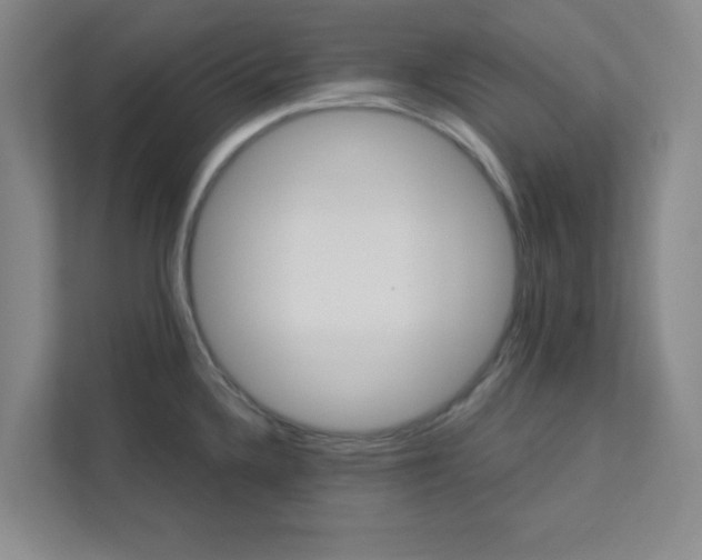 X0000113301336200909281056