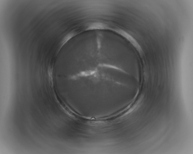 X0000113301337200909281057