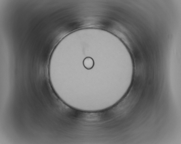 X0000113301338200909281057