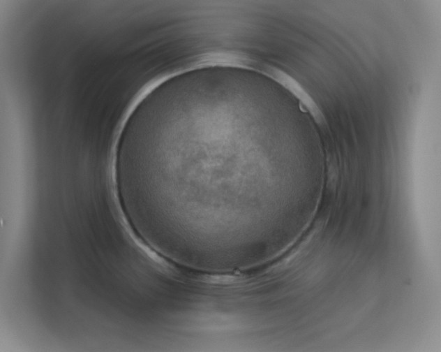 X0000113301339200909281057