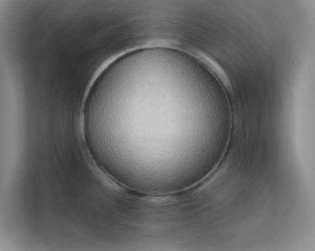 X0000113301340200909281057