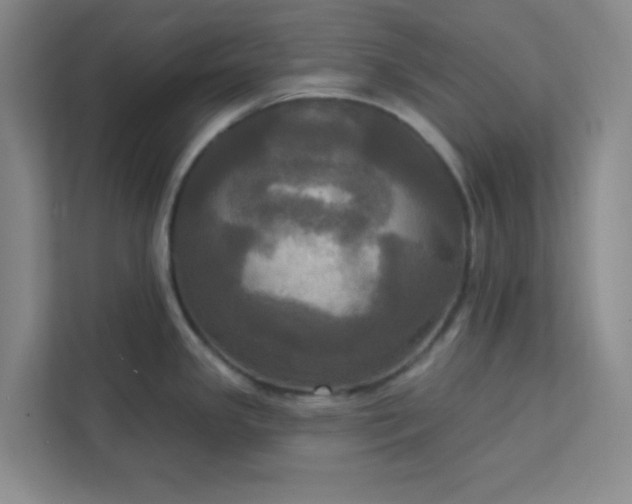 X0000113301341200909281057