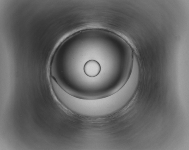 X0000113301342200909281057