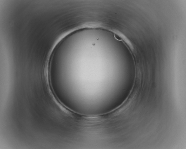 X0000113301343200909281057