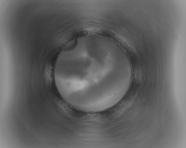 X0000113301346200909281056