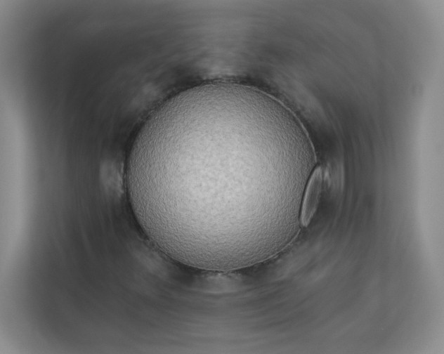 X0000113301348200909281056