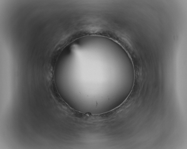 X0000113301349200909281056