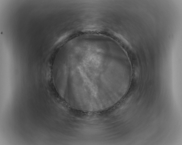 X0000113301350200909281056