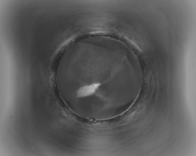 X0000113301351200909281056