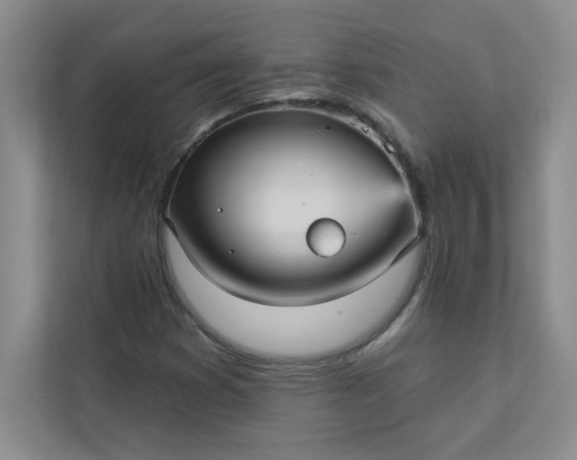 X0000113301353200909281056