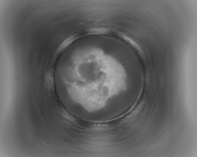 X0000113301354200909281056