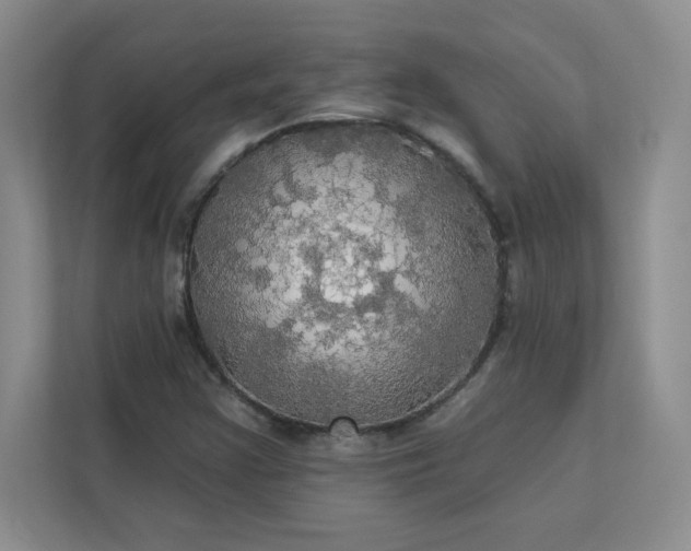 X0000113301355200909281056