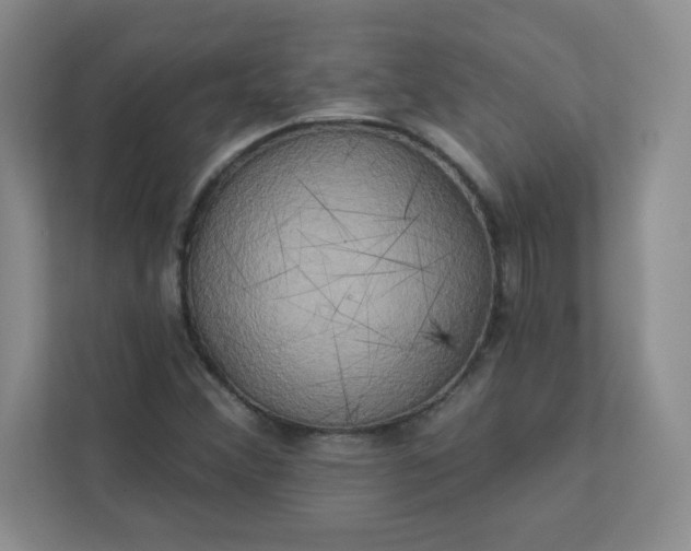 X0000113301356200909281056