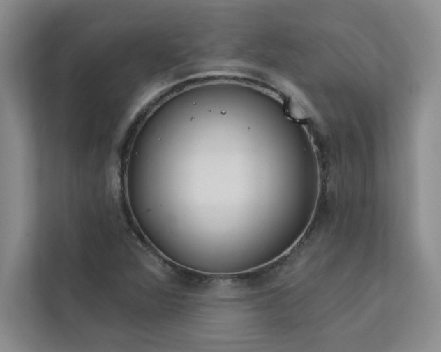 X0000113301360200909281056