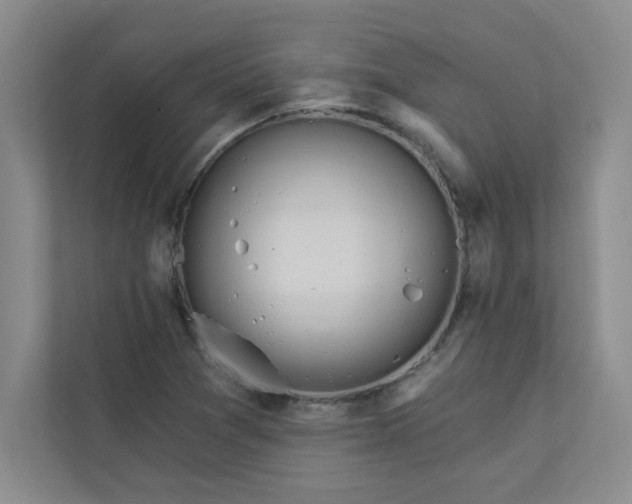 X0000113301361200909281056