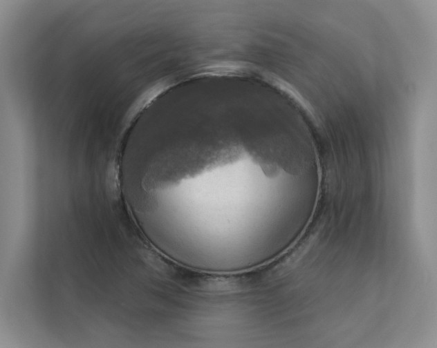 X0000113301362200909281056