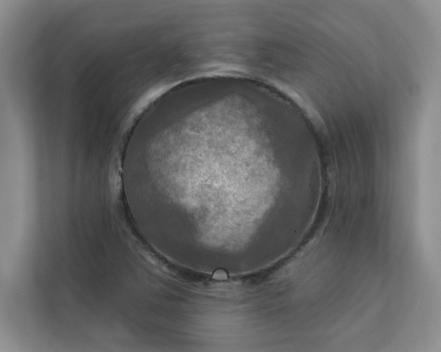 X0000113301363200909281056