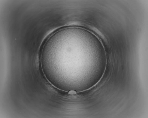 X0000113301364200909281056