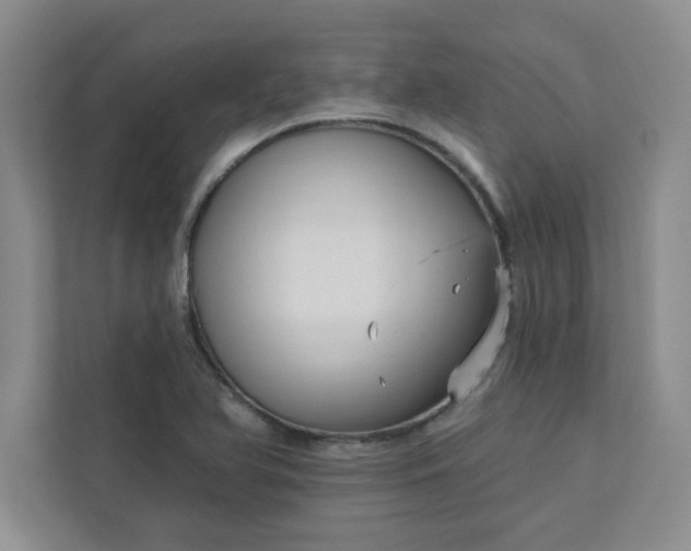 X0000113301366200909281056