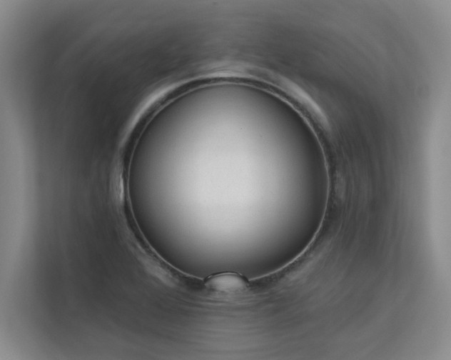 X0000113301368200909281056