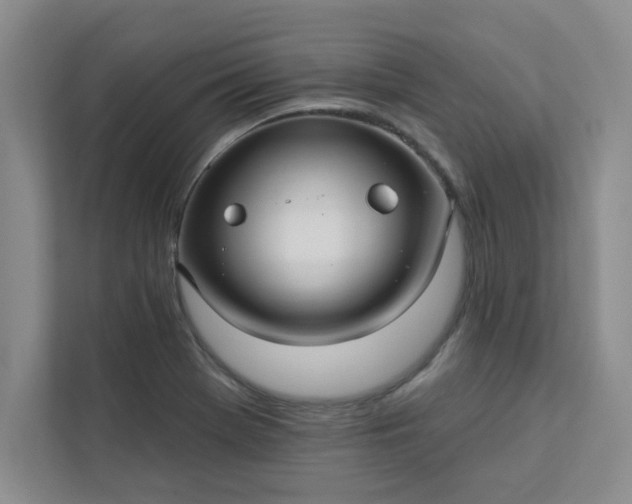 X0000113301369200909281056