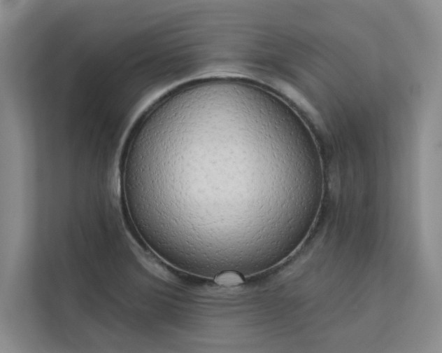 X0000113301372200909281056