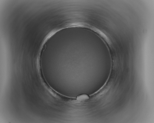 X0000113301373200909281056