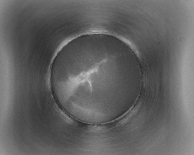 X0000113301374200909281056