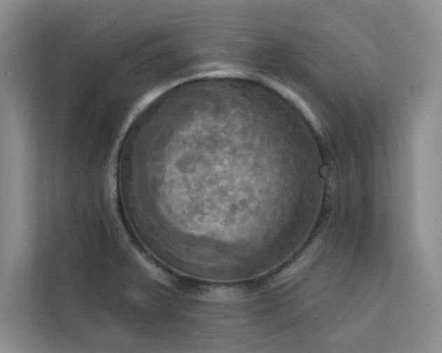 X0000113301375200909281056