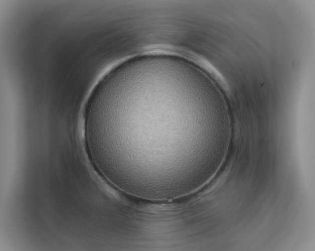 X0000113301376200909281056