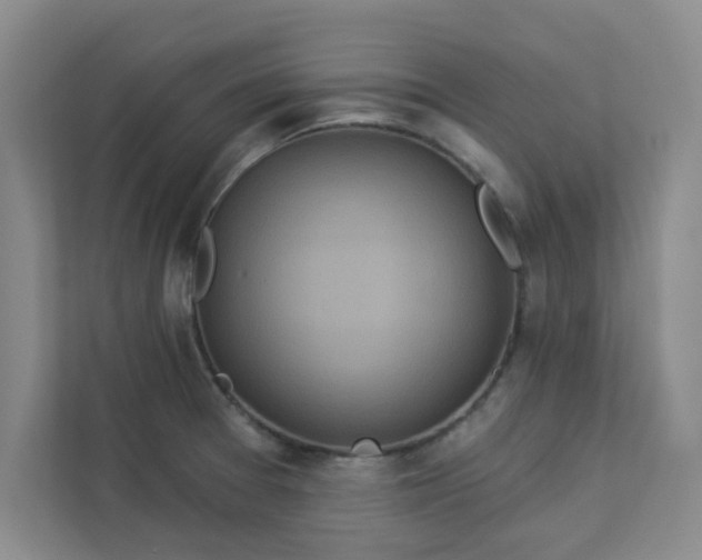 X0000113301377200909281056