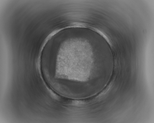 X0000113301379200909281056