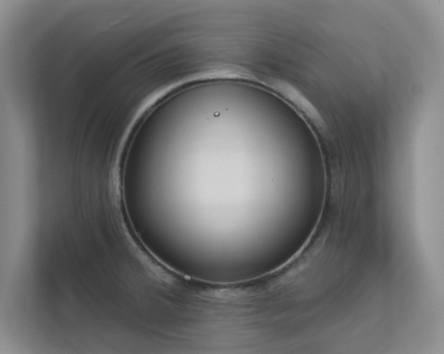 X0000113301380200909281056