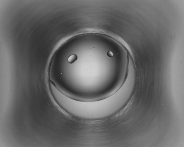 X0000113301381200909281056