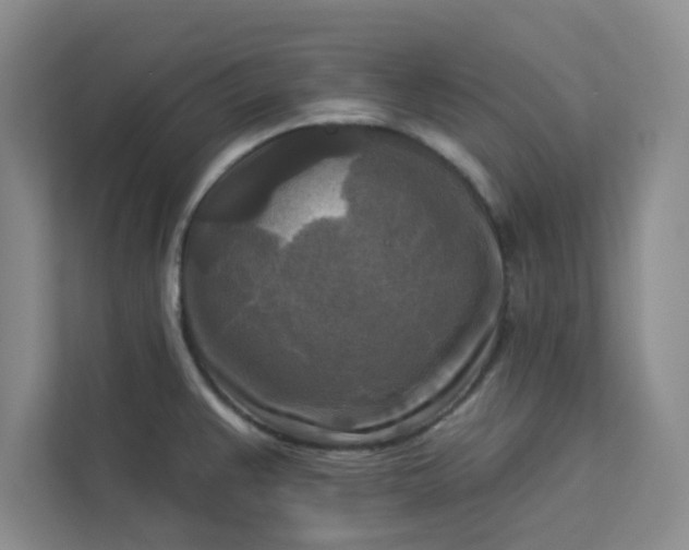 X0000113301383200909281055