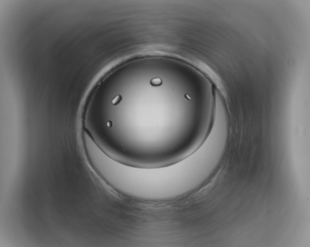 X0000113301384200909281055