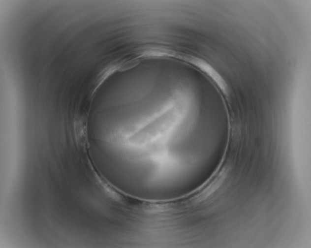 X0000113301385200909281055