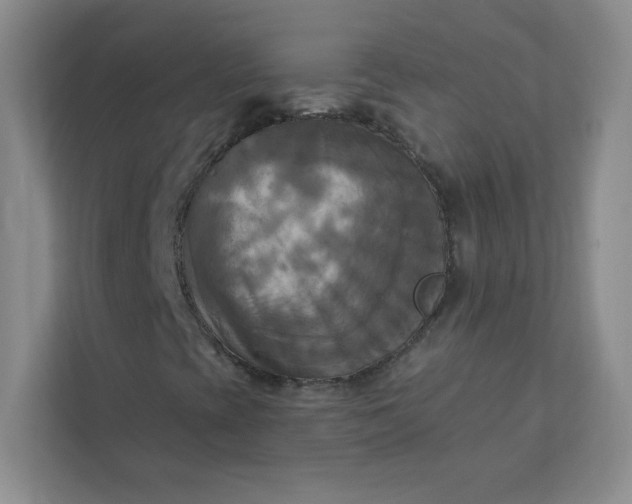 X0000113301393200909281055