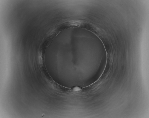 X0000113301394200909281055