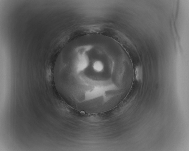 X0000113301395200909281055