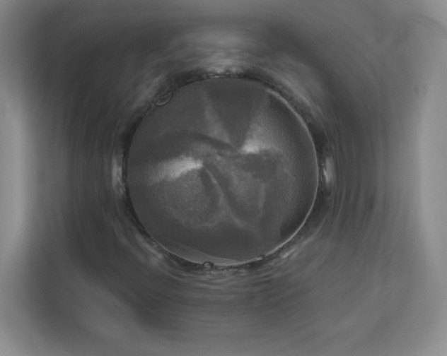 X0000113301396200909281055