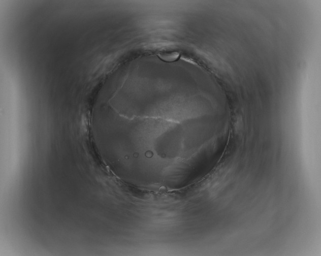 X0000113301397200909281055