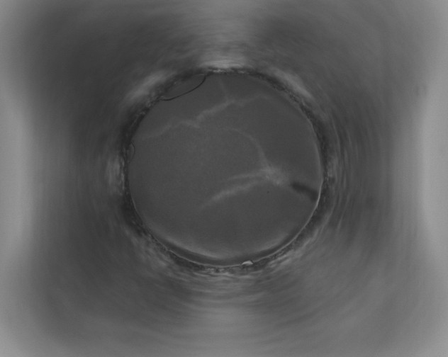 X0000113301398200909281055