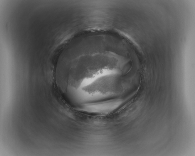 X0000113301399200909281055